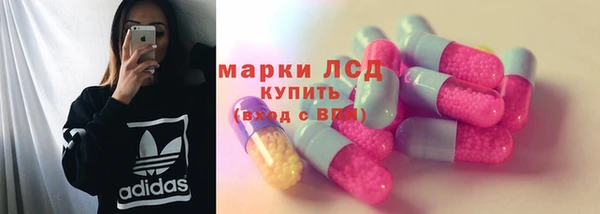 a pvp Алзамай