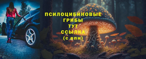a pvp Алзамай